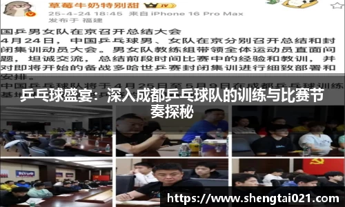 乒乓球盛宴：深入成都乒乓球队的训练与比赛节奏探秘